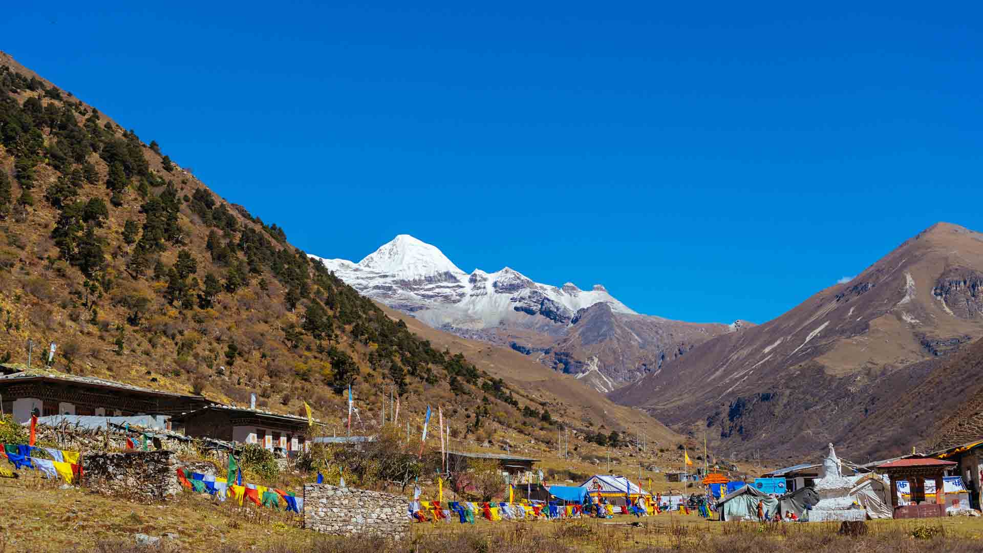 Jomolhari Base Camp Trek